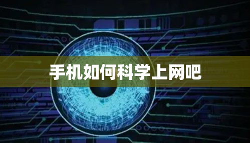 手机如何科学上网吧