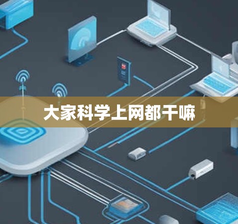 大家科学上网都干嘛