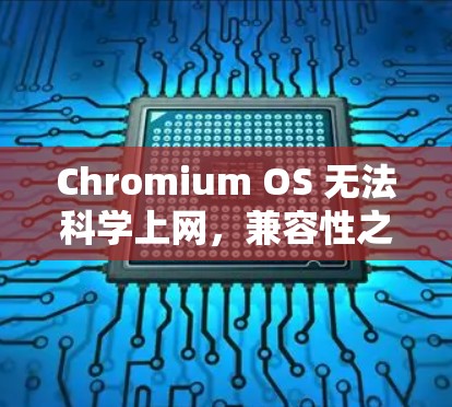 Chromium OS 无法科学上网，兼容性之谜解析