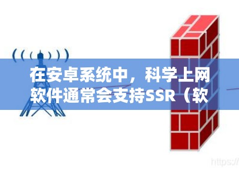 在安卓系统中，科学上网软件通常会支持SSR（软件优化）选项，以提高软件的性能和兼容性。以下是一些常见的情况和步骤
