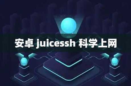 安卓 juicessh 科学上网