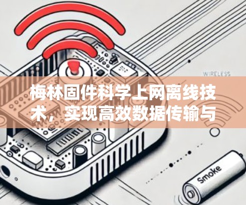 梅林固件科学上网离线技术，实现高效数据传输与安全防护