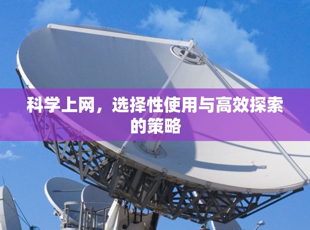 科学上网，选择性使用与高效探索的策略