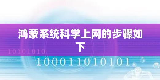 鸿蒙系统科学上网的步骤如下
