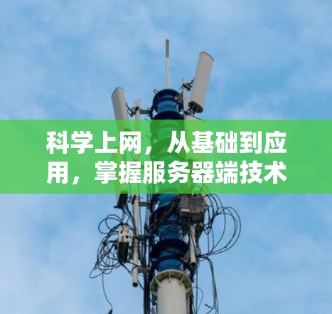 科学上网，从基础到应用，掌握服务器端技术