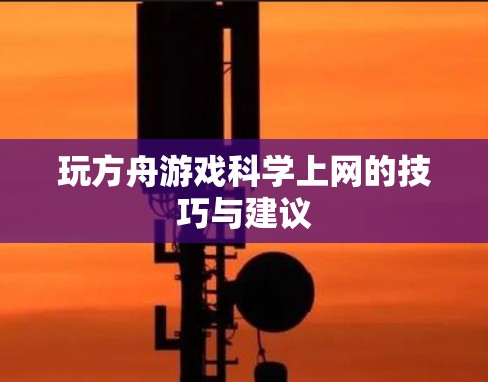 玩方舟游戏科学上网的技巧与建议