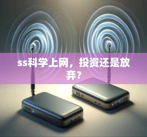 ss科学上网，投资还是放弃？