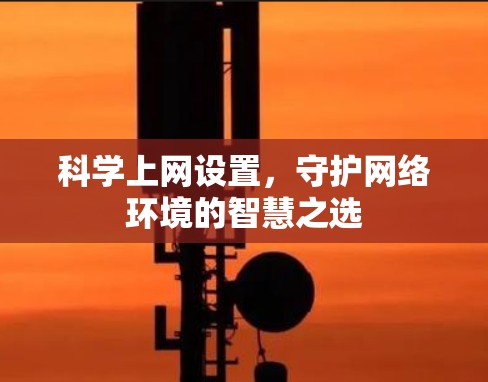 科学上网设置，守护网络环境的智慧之选