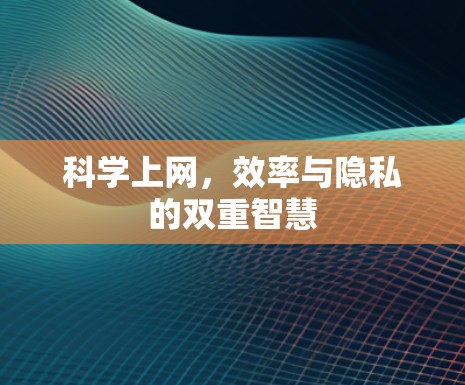 科学上网，效率与隐私的双重智慧
