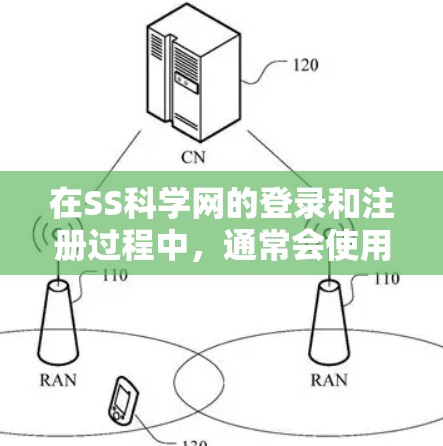 在SS科学网的登录和注册过程中，通常会使用默认的登录方式，即用户名和密码。以下是一些常见的步骤和注意事项