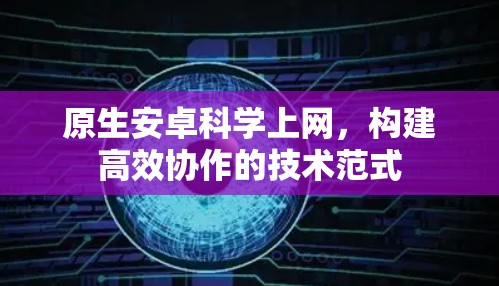 原生安卓科学上网，构建高效协作的技术范式