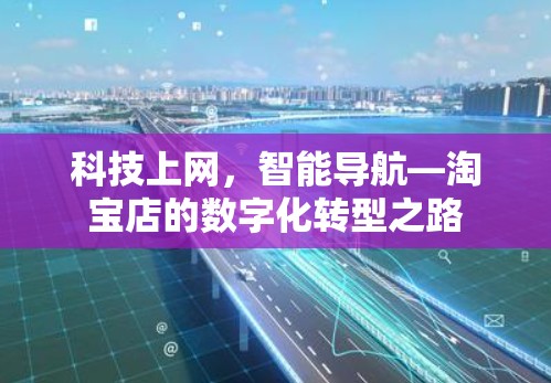 科技上网，智能导航—淘宝店的数字化转型之路