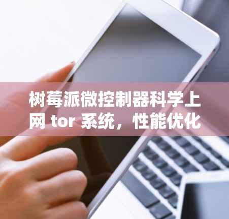 树莓派微控制器科学上网 tor 系统，性能优化与实用功能