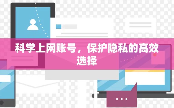 科学上网账号，保护隐私的高效选择