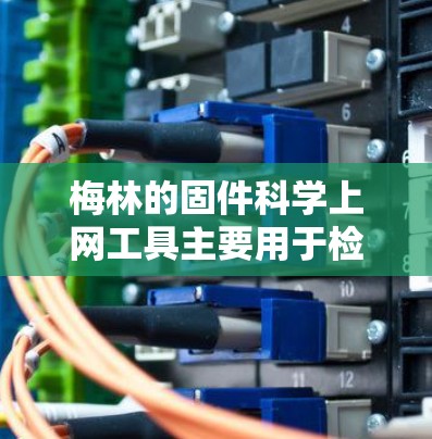 梅林的固件科学上网工具主要用于检测、故障定位和优化网络连接。以下是详细的步骤指南