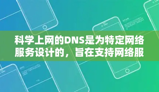 科学上网的DNS是为特定网络服务设计的，旨在支持网络服务的管理、IP分配和DNS记录管理。以下是对科学上网DNS的详细分析和建议
