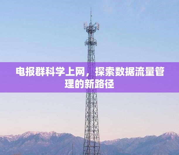 电报群科学上网，探索数据流量管理的新路径