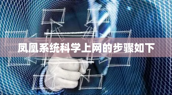 凤凰系统科学上网的步骤如下