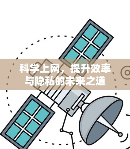 科学上网，提升效率与隐私的未来之道