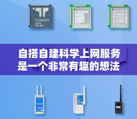 自搭自建科学上网服务是一个非常有趣的想法！如果需要帮助搭建一个科学上网服务，我建议你按照以下步骤进行
