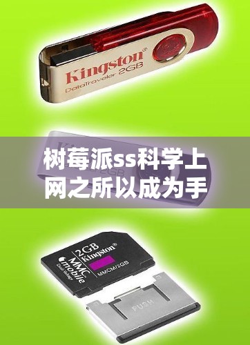 树莓派ss科学上网之所以成为手机市场上的热门选择，有几个主要原因