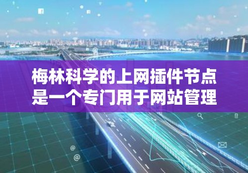梅林科学的上网插件节点是一个专门用于网站管理的工具，旨在帮助用户高效处理和分析网站的网站数据。以下是对其功能的详细介绍
