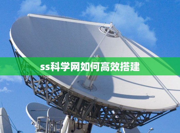 ss科学网如何高效搭建