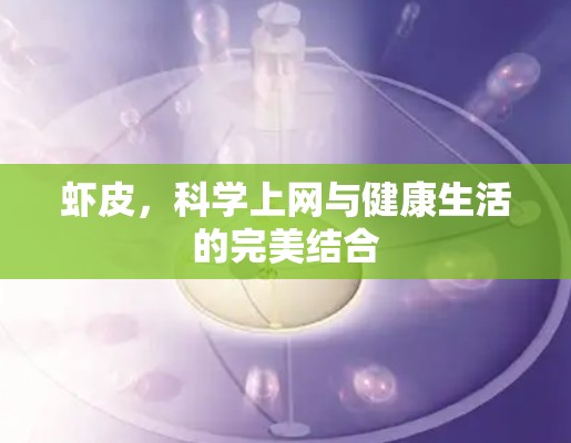 虾皮，科学上网与健康生活的完美结合