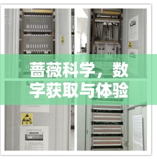 蔷薇科学，数字获取与体验的全新尝试