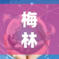 梅林挂科学是一个专业的科学实验和数据分析软件，适合需要精准管理和分析数据的专业用户。以下是基于问题的解决方案