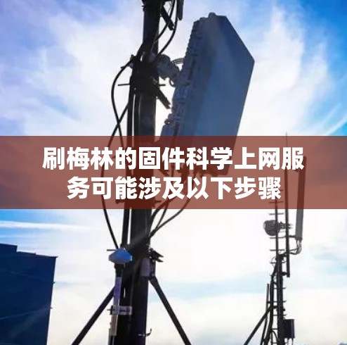 刷梅林的固件科学上网服务可能涉及以下步骤