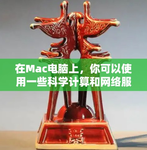 在Mac电脑上，你可以使用一些科学计算和网络服务工具。以下是一些可能相关的内容