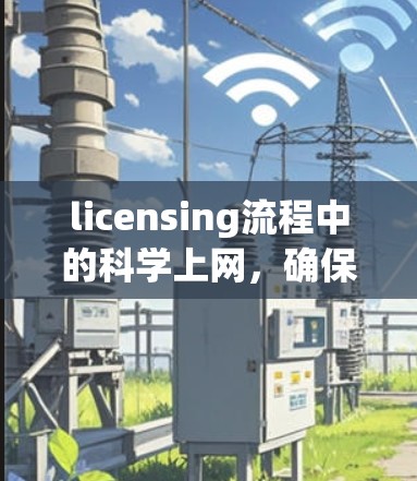licensing流程中的科学上网，确保数据安全与高效管理