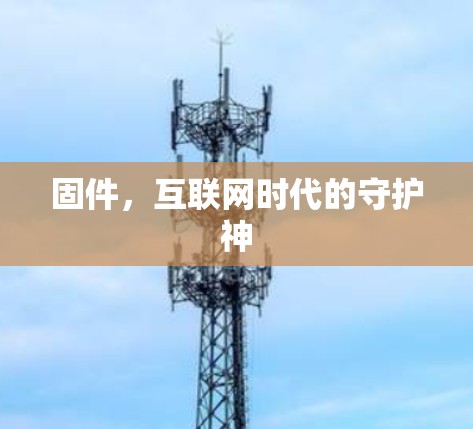 固件，互联网时代的守护神
