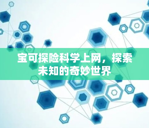 宝可探险科学上网，探索未知的奇妙世界