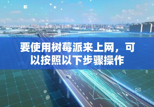 要使用树莓派来上网，可以按照以下步骤操作