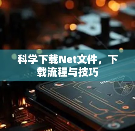科学下载Net文件，下载流程与技巧