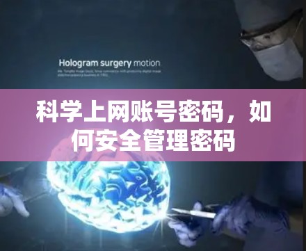 科学上网账号密码，如何安全管理密码