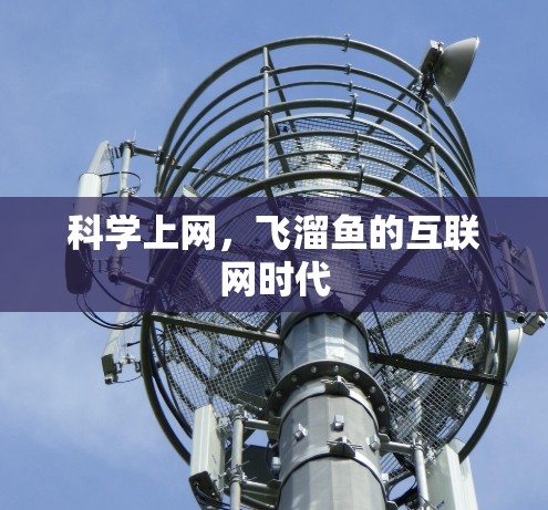 科学上网，飞溜鱼的互联网时代