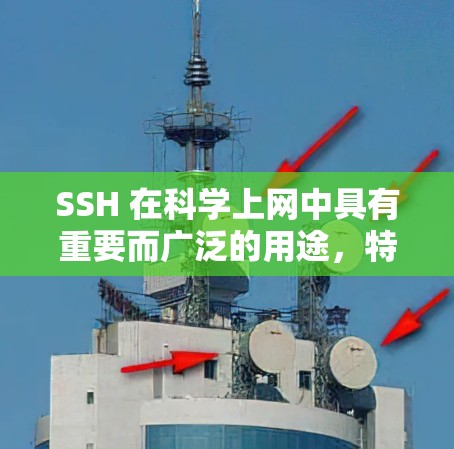 SSH 在科学上网中具有重要而广泛的用途，特别是在需要安全连接和高效管理远程环境的情况下。以下是 SSH 在科学上网中的具体应用和考虑因素