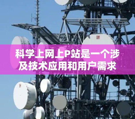 科学上网上P站是一个涉及技术应用和用户需求的术语，具体含义如下
