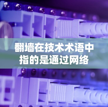 翻墙在技术术语中指的是通过网络设备或接口从内部访问外部设备或资源的过程。在科学领域，尤其是实验和数据收集中，这种操作被称为科学上网，因为它类似于在科学实验中使用外部资源来获取数据或信息