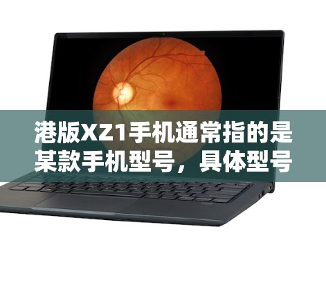 港版XZ1手机通常指的是某款手机型号，具体型号可能因地区或品牌有所不同。如果是指港版XZ1手机的科学上网功能，通常指该手机的上网设置、功能或应用支持科学计算、加密、安全等