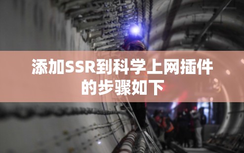 添加SSR到科学上网插件的步骤如下