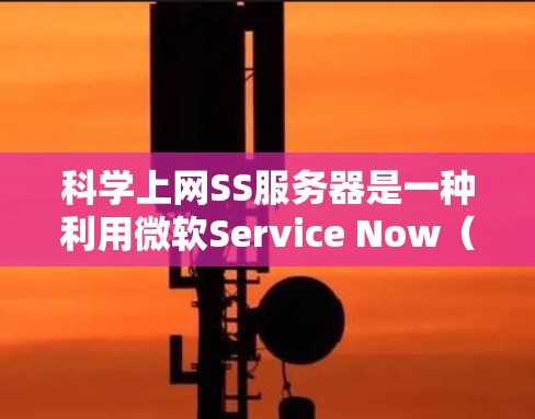 科学上网SS服务器是一种利用微软Service Now（SSS）管理云服务的平台，主要用于管理、监控和应用服务的调度与资源分配。以下是对科学上网SS服务器的详细分析和建议