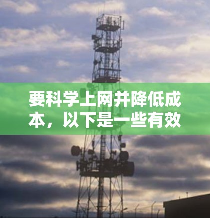 要科学上网并降低成本，以下是一些有效的策略和步骤