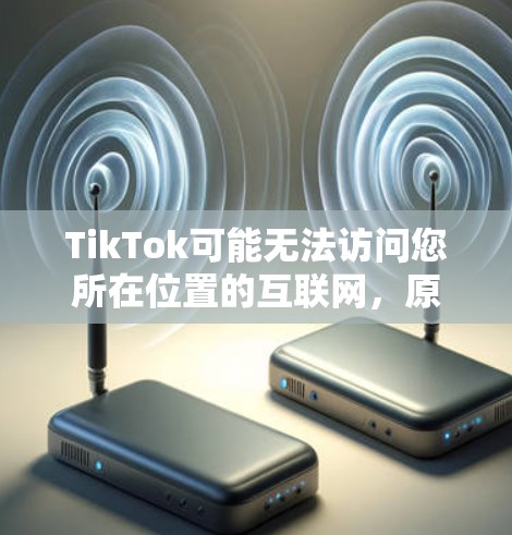 TikTok可能无法访问您所在位置的互联网，原因可能包括以下几点