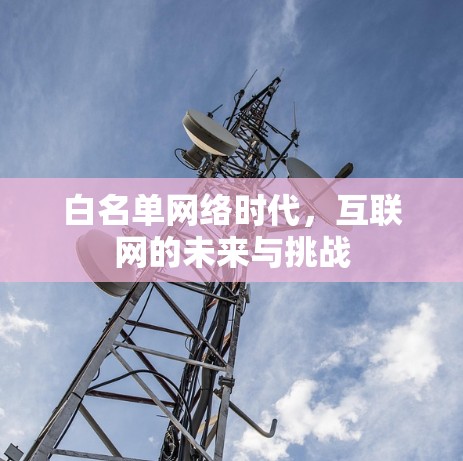 白名单网络时代，互联网的未来与挑战
