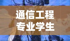 通信工程专业学生学习总结，从k3梅林科学上网开始