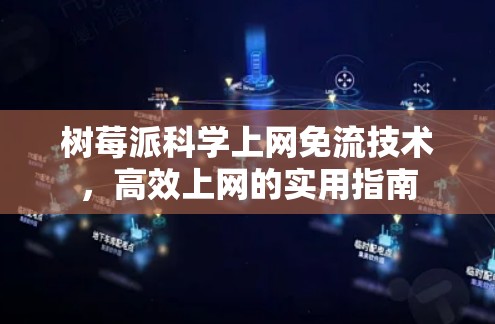 树莓派科学上网免流技术，高效上网的实用指南